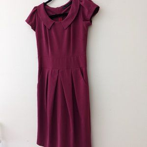 Zara Garnet Pan Collar Dress with Pockets